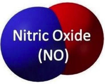 A New Year Brings a Reliable and Credible Source of Information on Nitric Oxide