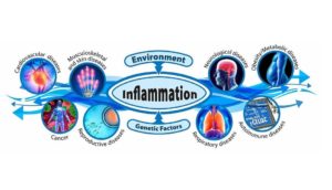 Environmental and genetic factors of inflammation