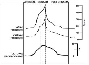Time course and hemodynamics of a normal orgasm