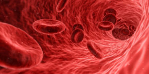 Red blood cells travelling through artery
