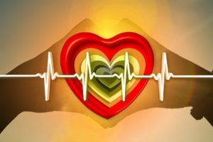 Heart with healthy pulse signals