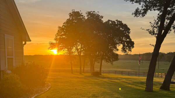 sunset